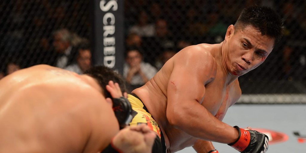 Cung Le Net Worth DoodleNeck