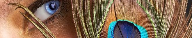 Heike Goosmann Net Worth