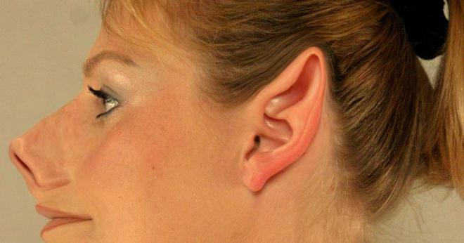 Maurits Goossens Net Worth