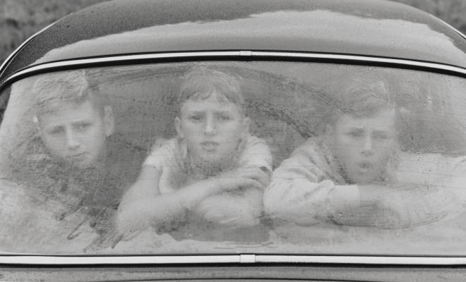 Anton Gorchev Net Worth